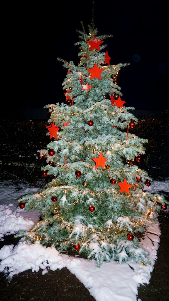 Weihnachtsbaum Meierberg