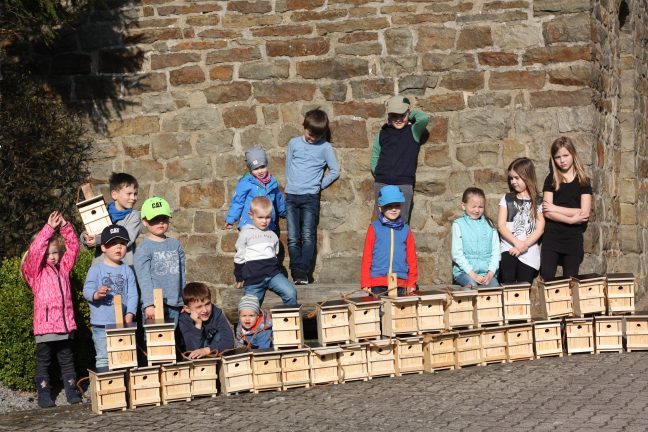 Gruppenfoto Meierberger Kinder mit gebauten Nistkästen